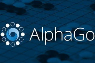 誰能打敗AlphaGo Zero？多角度探秘主流圍棋AI的博弈與未來